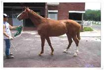 ����Ǯ�Ӵ� (WONDERFUL MONEY) ����