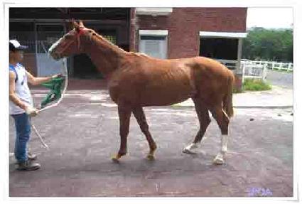 ����Ǯ�Ӵ� ����