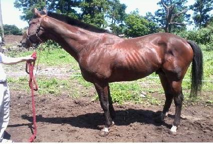 ���δ� ����