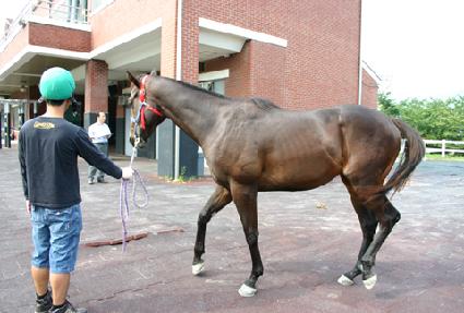 �������� ����