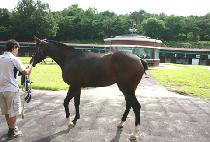 �ָ��ֿ� (JUMALJUYEON) ����