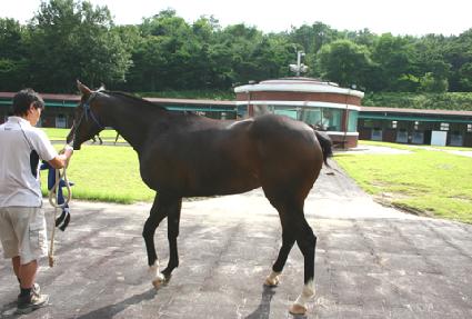 �ָ��ֿ� ����