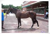 �Ѽ��� (HANSEONGBONG) ����