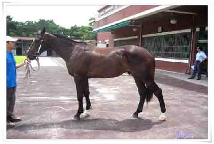 �Ѽ��� ����