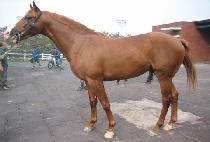 ����� (GILSANGYEOUI) ����