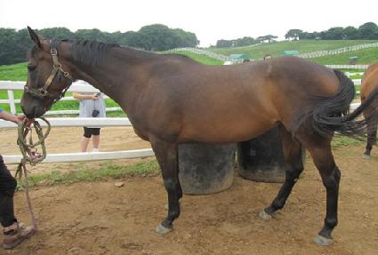 �̼����� ����