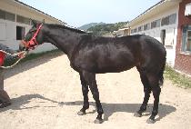 ������Ʈ (BURNING HEART) ����