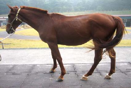 �����ȼ� ����