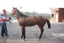 �ǾƳ� (PIANO) ����