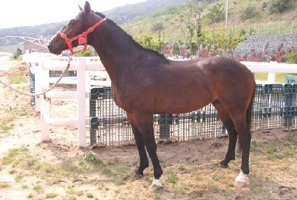 �纸�̾��� ����