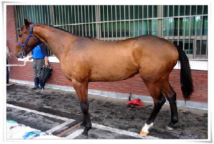 ��ȣ���� ����