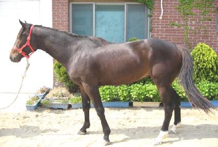 �÷�Ƽ�� ����