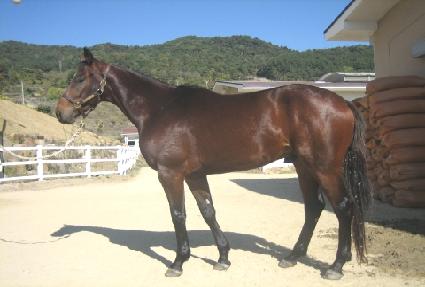 ���ʽ��� ����