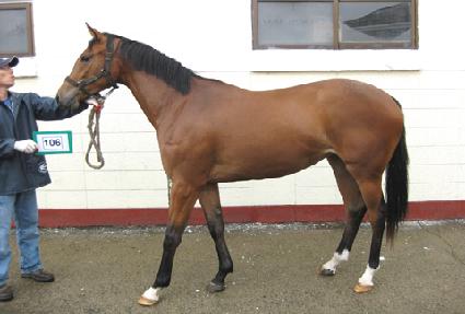 ������� ����