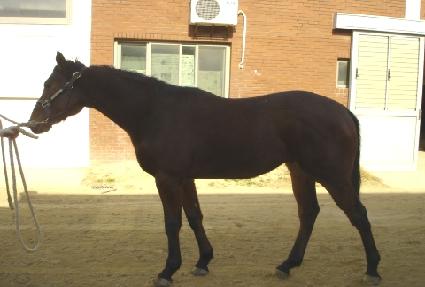 �Ƹ��ٿ���� ����