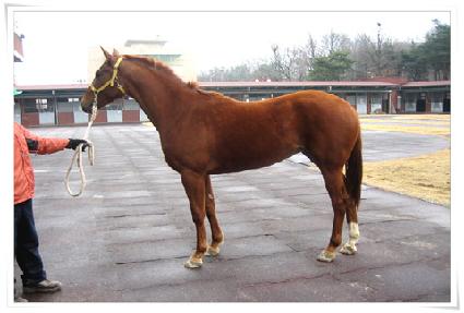 ������� ����