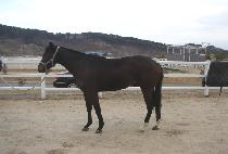 Ư��õ�� (TEUKGEUP CHEONSA) ����