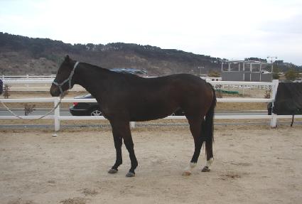 Ư��õ�� ����