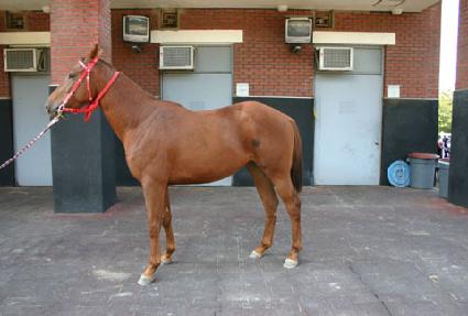 ����Ʈ���� ����