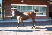 GANGCHEOLGEONGAK picture