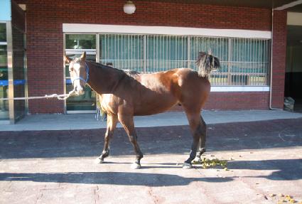 ��ö�ǰ� ����