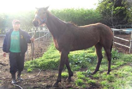 ����Ĺ ����