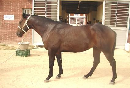 ����ǰ ����