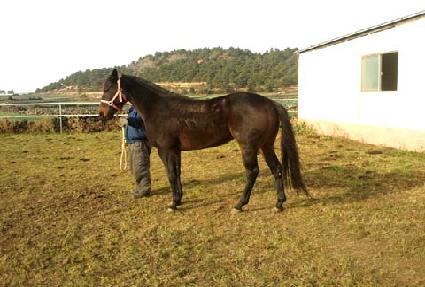 õ���ǲ� ����