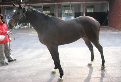 ������ ����