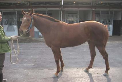 ���̽����� ����