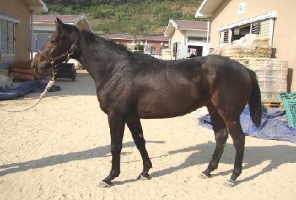 ����ô� ����