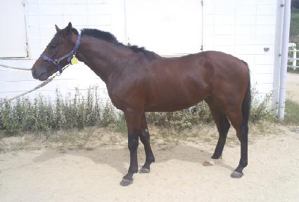 �����Ʈ ����