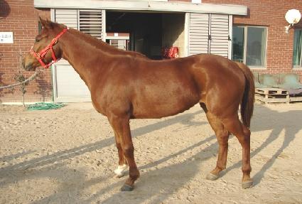 ĳ�� ����