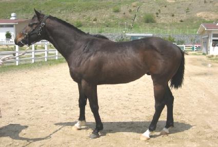 �������� ����