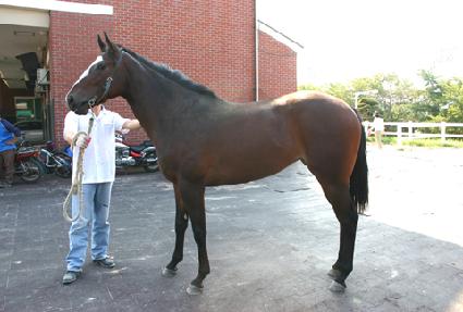 ����� ����