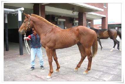 õ���屺 ����