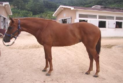 �¾� ����