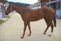 ���Ϸ����Ŀ� (ISLAND POWER) ����