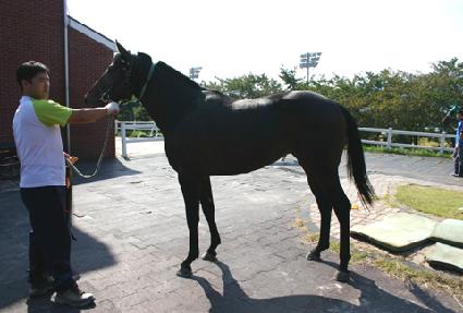 ������ ����