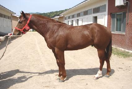 �ֱ��� ����