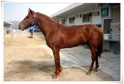 Ŭ���Ӻ��丮 ����