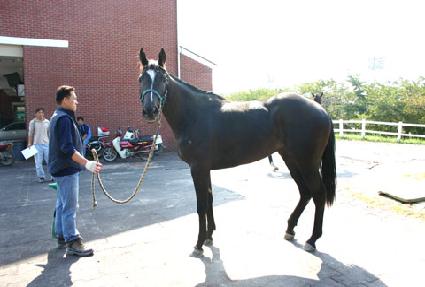 ��ȣ���� ����