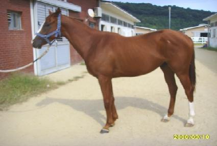 ���۱۷θ� ����