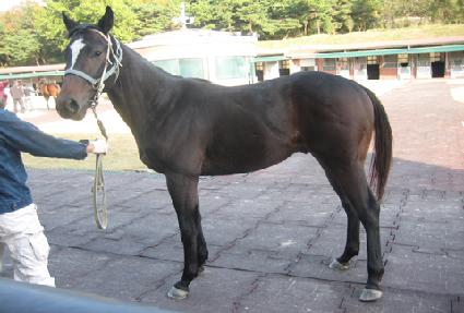 ������ ����