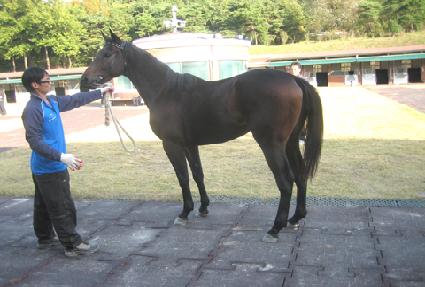 ����ũ�� ����