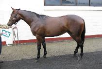 ��Ʈ�� (MITHRA) ����