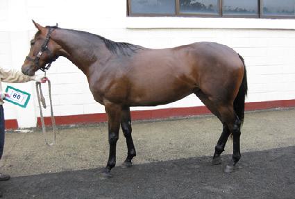 ��Ʈ�� ����