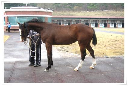 ���忣�� ����