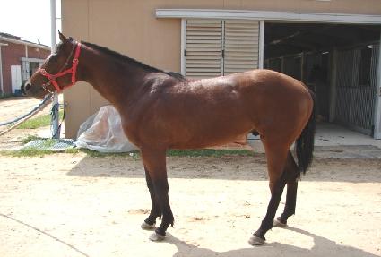 �¾��ǾƵ� ����