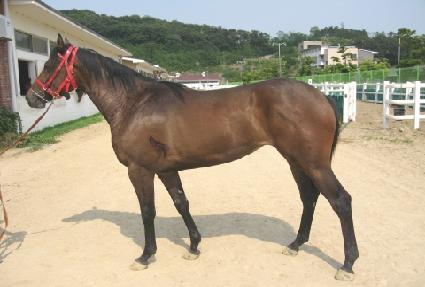 ���� ����